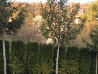 IMG 20170401 182202