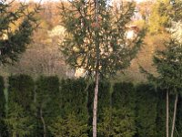 IMG 20170401 182205