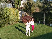 IMG 20170402 082749