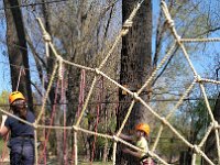 IMG 20170402 115937